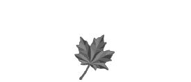 logo-sac-ace